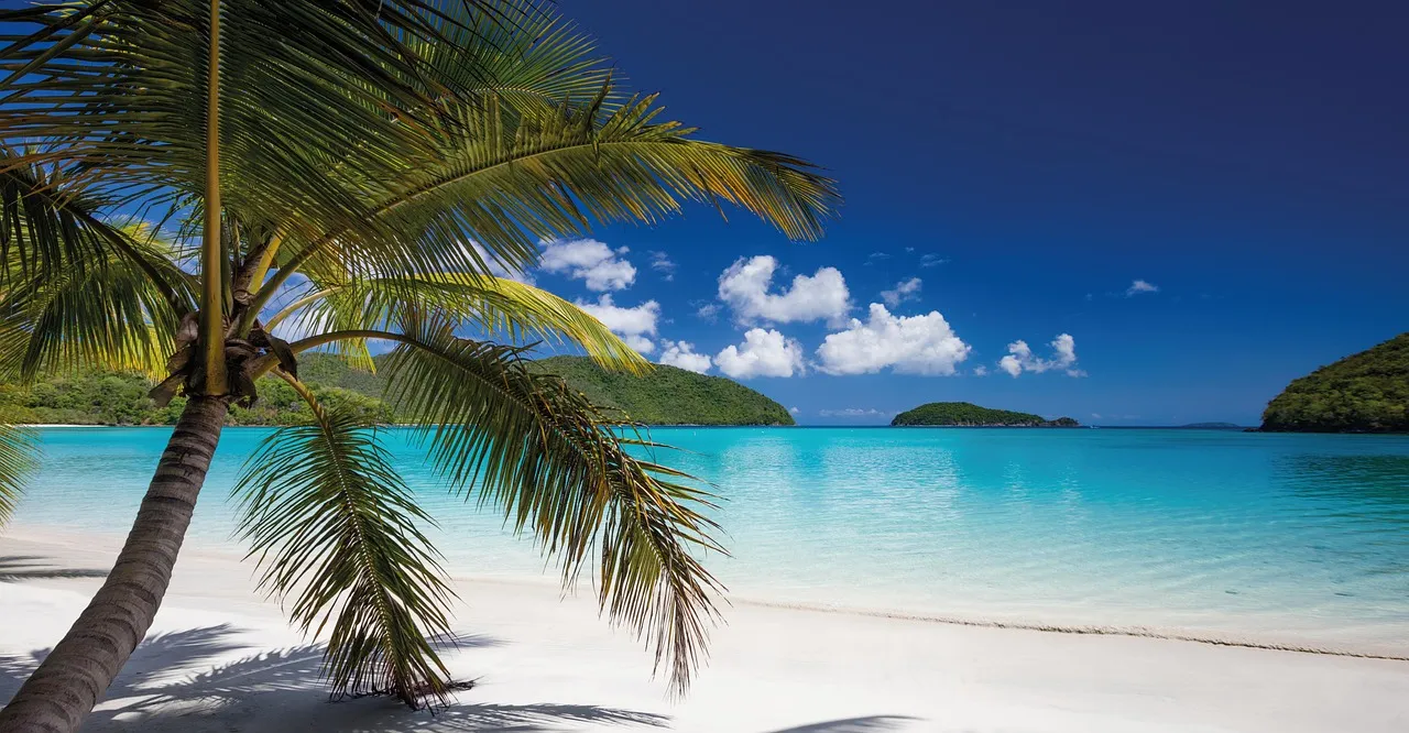 Best Tropical Beaches in the World