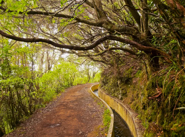 Madeira activities tips for a warm holiday in October