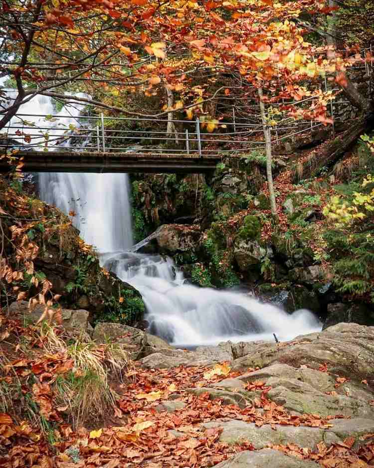 Todtnau Waterfalls Germany Holidays in Nature Tips