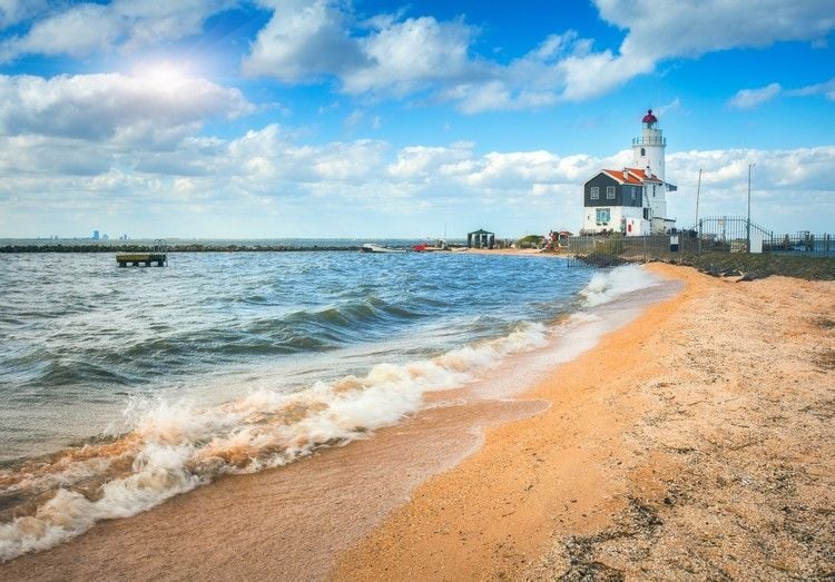 Dog-friendly beaches in the Netherlands Holidays in Holland by the sea Tips