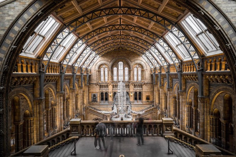 Photos of sections of the British Museum